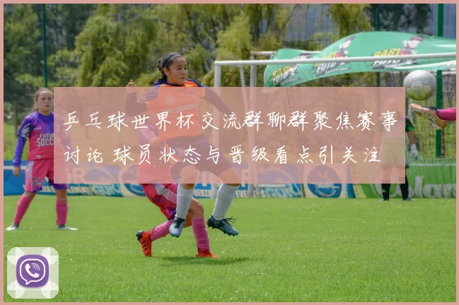 乒乓球世界杯交流群聊群聚焦赛事讨论 球员状态与晋级看点引关注