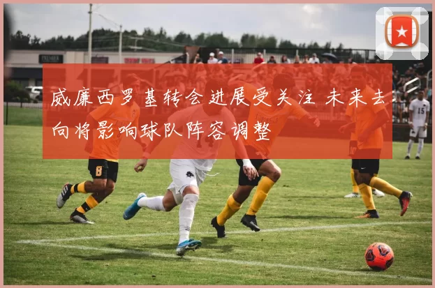 威廉西罗基转会进展受关注 未来去向将影响球队阵容调整