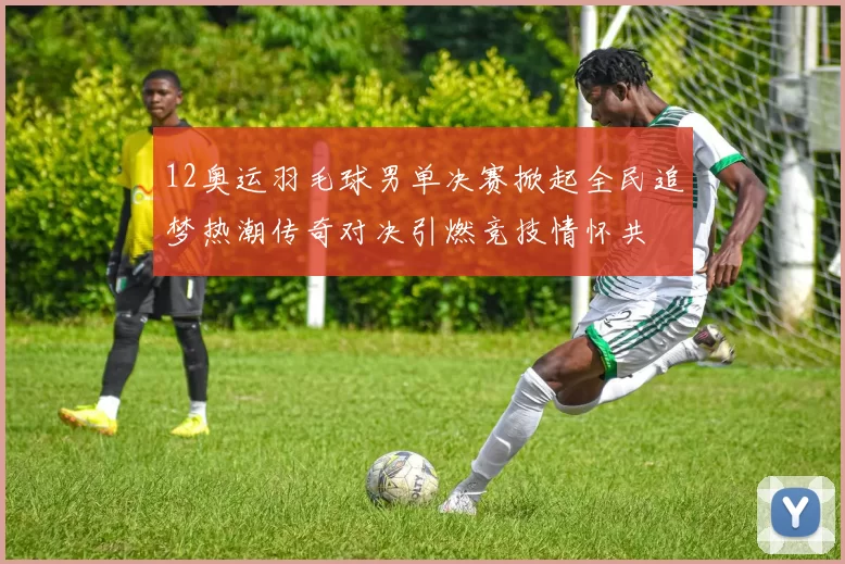 12奥运羽毛球男单决赛掀起全民追梦热潮传奇对决引燃竞技情怀共