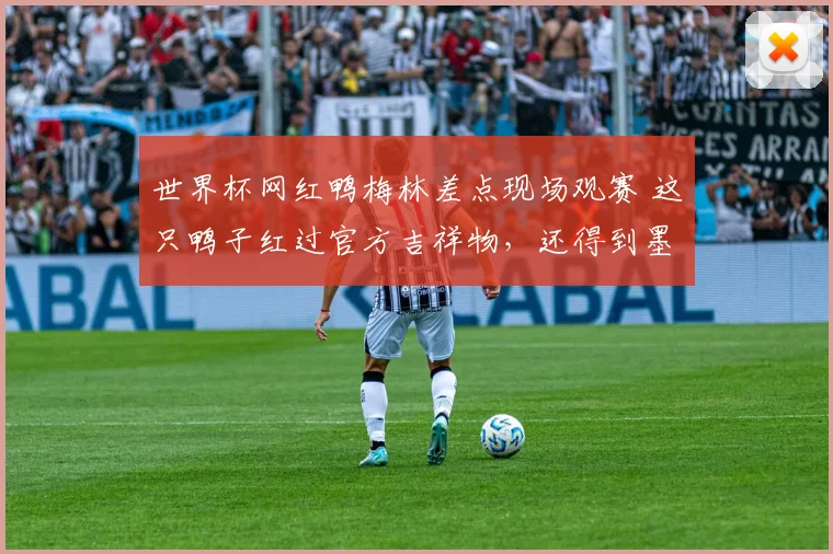 世界杯网红鸭梅林差点现场观赛 这只鸭子红过官方吉祥物，还得到墨西哥总统“接见”
