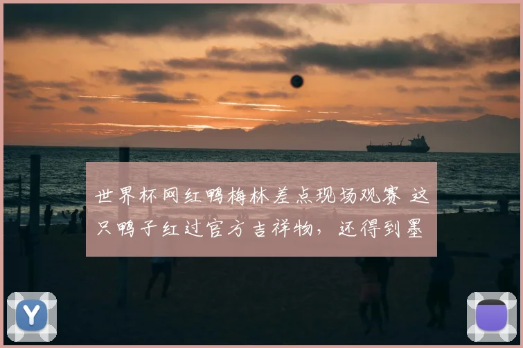 世界杯网红鸭梅林差点现场观赛 这只鸭子红过官方吉祥物，还得到墨西哥总统“接见”