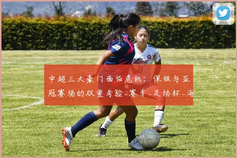 中超三大豪门面临危机:保级与亚冠赛场的双重考验_赛季_足协杯_海港