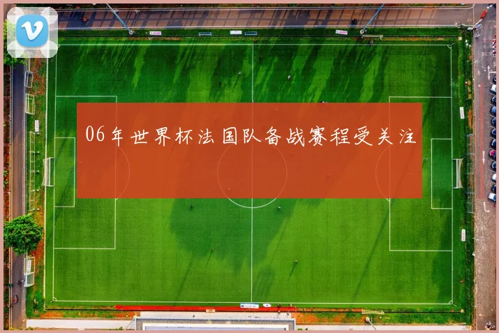 06年世界杯法国队备战赛程受关注
