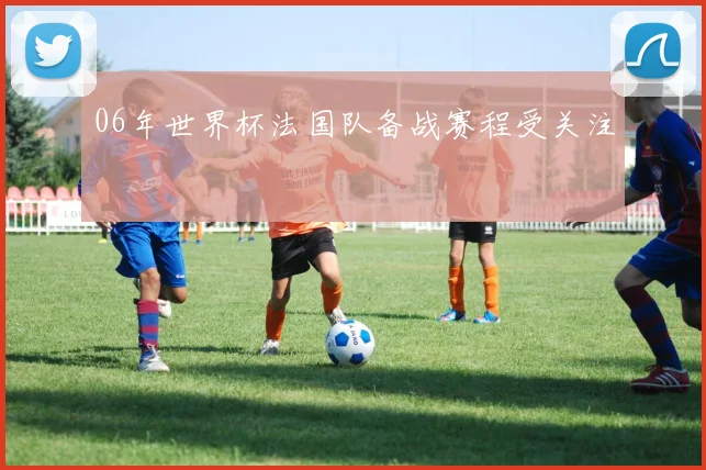 06年世界杯法国队备战赛程受关注