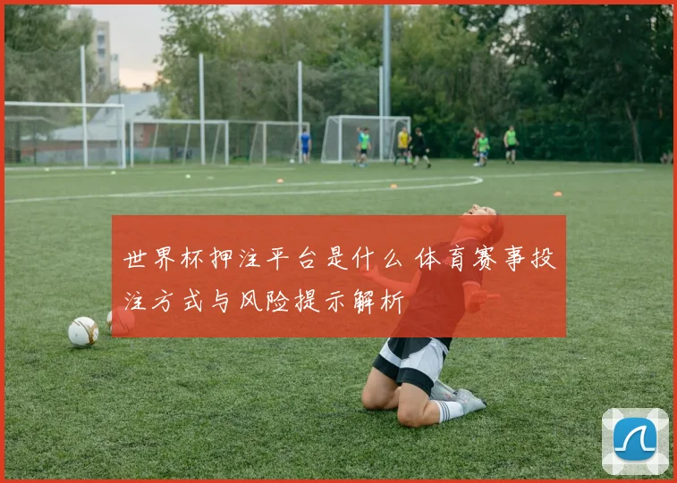 世界杯押注平台是什么 体育赛事投注方式与风险提示解析